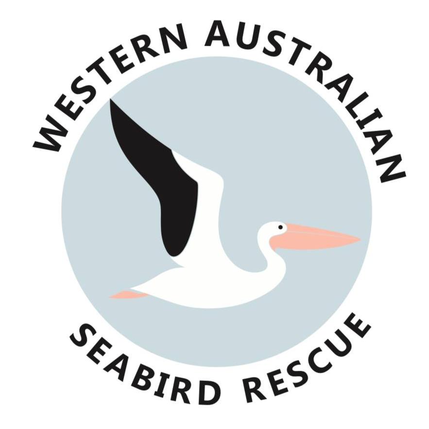 Logo Photo