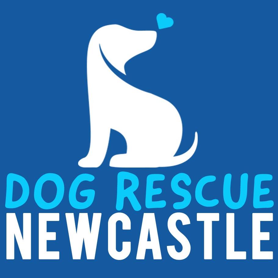 Logo Photo