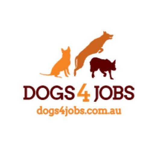 Logo Photo