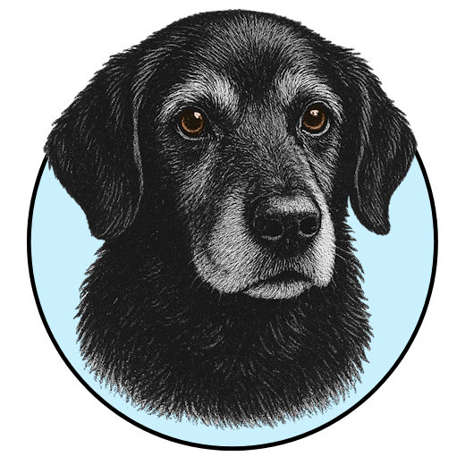 Logo Photo